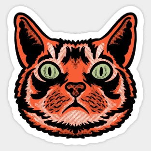 DOOF CAT Sticker